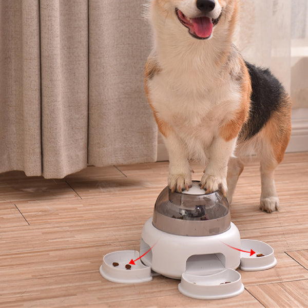 Pet Automatic Feeders