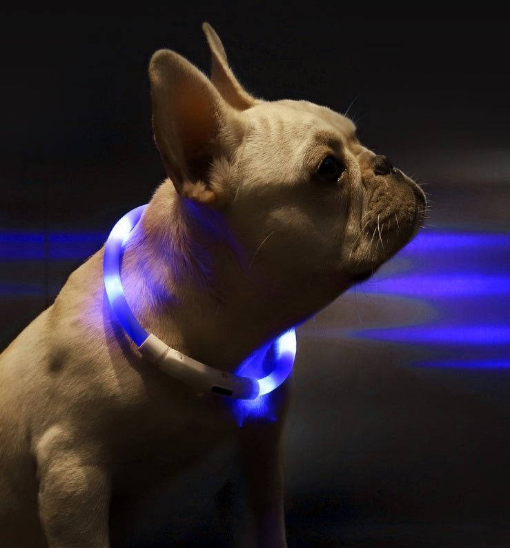Collar luminoso antipérdida para mascotas