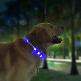 Collar luminoso antipérdida para mascotas