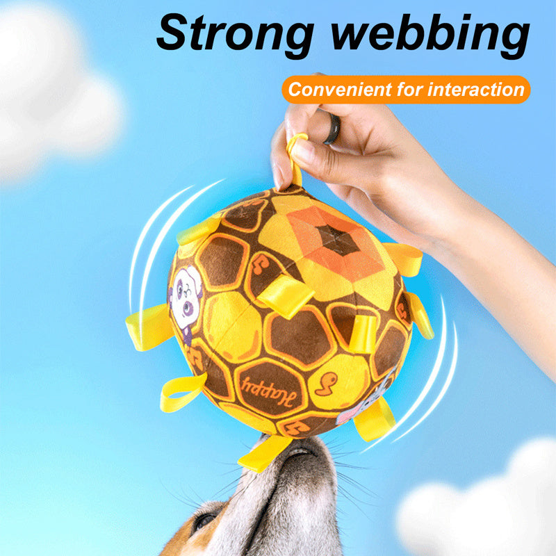 Interactive Ball Chew Toy