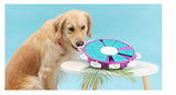 Mangeoire pour chien avec puzzle IQ Training