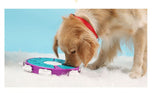 Mangeoire pour chien avec puzzle IQ Training