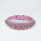 Leather Studded Rivet Dog Collar