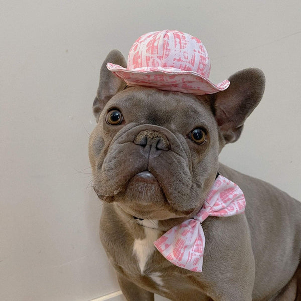 Pet Accessories