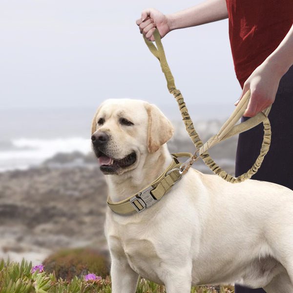 Nylon Dog Collar Large Medium