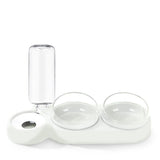 Double Pet Feeder Bowl