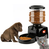 Timing Intelligent Automatic Feeder