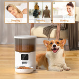 Automatic Pet Feeder 
