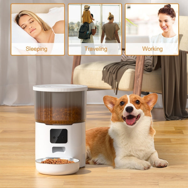 Automatic Pet Feeder 