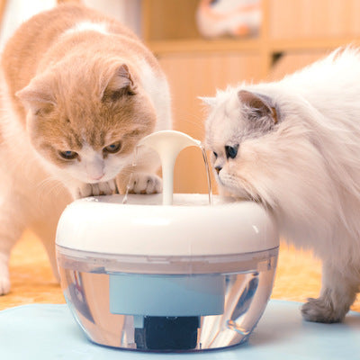 Automatic Circulating Water Dispenser