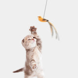 Automatic Lifting Bird Cat Toy