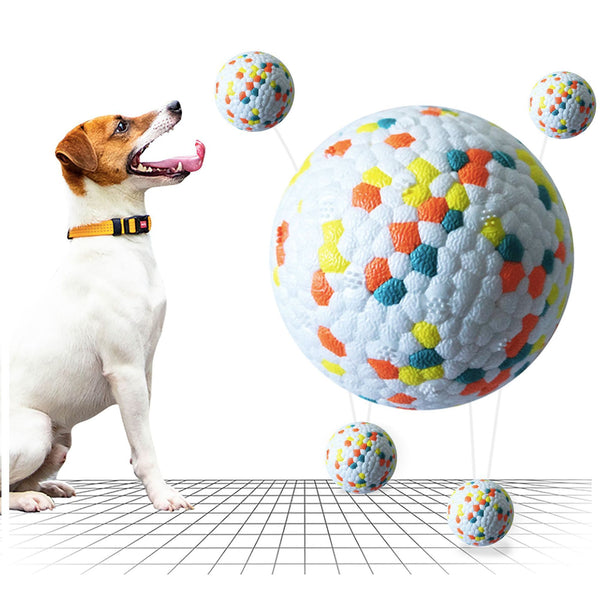 Dog Molar Chew Training Ball