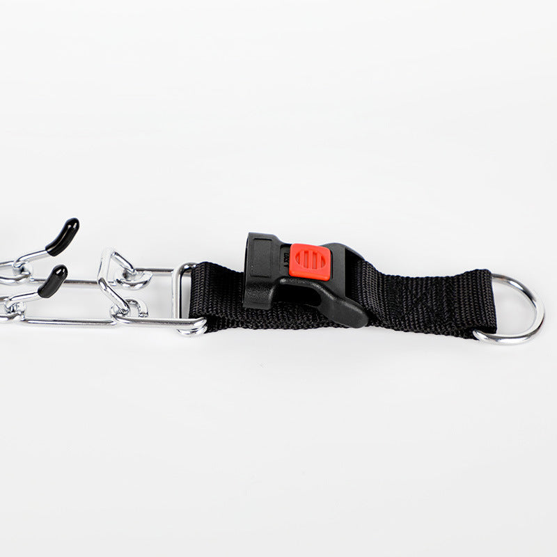 Removable Locking Training Collar