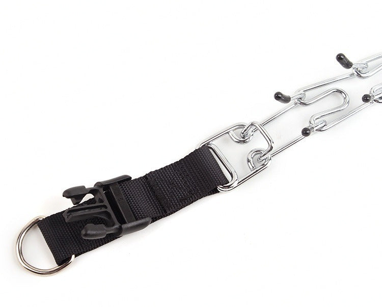 Removable Locking Training Collar