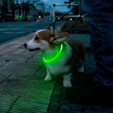 LED USB Rechargeable Dog Collar