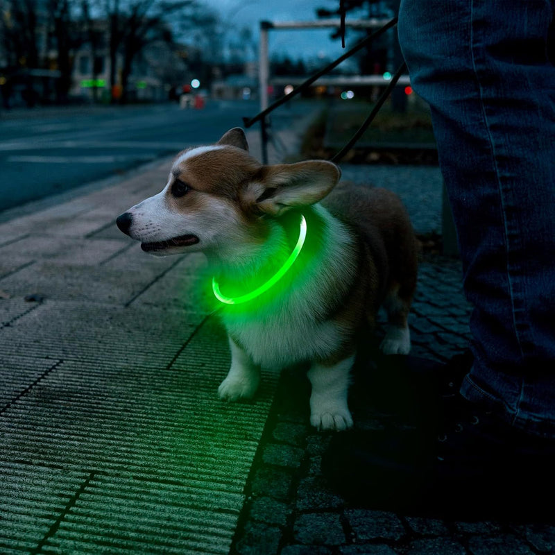 LED USB Rechargeable Dog Collar