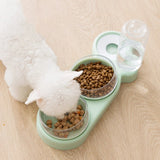 Double Pet Feeder Bowl