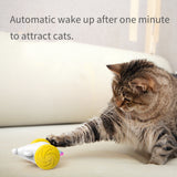 Interactive Luminous Mouse Toy
