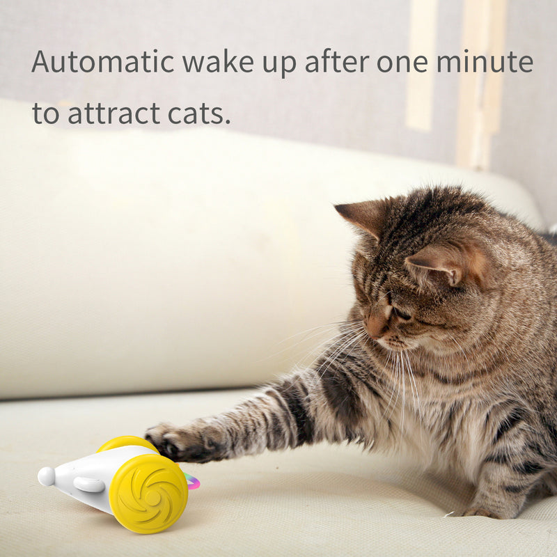 Interactive Luminous Mouse Toy