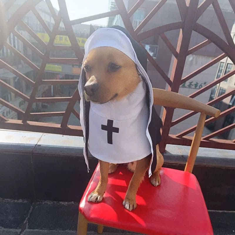 Nun Dog Costume – Halloween Outfit