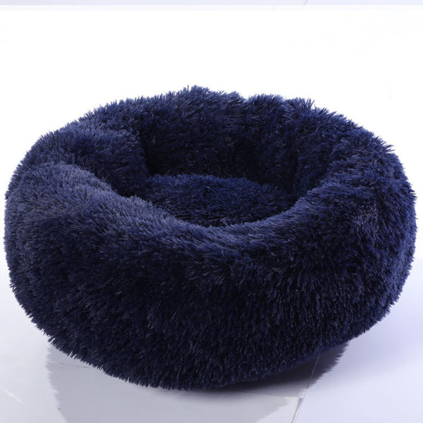 Pet Accessories 