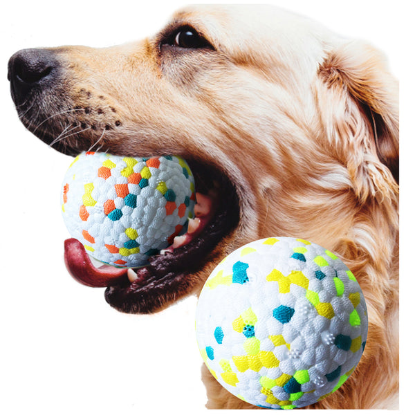 Dog Molar Chew Training Ball