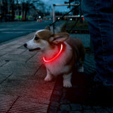 LED USB Rechargeable Dog Collar