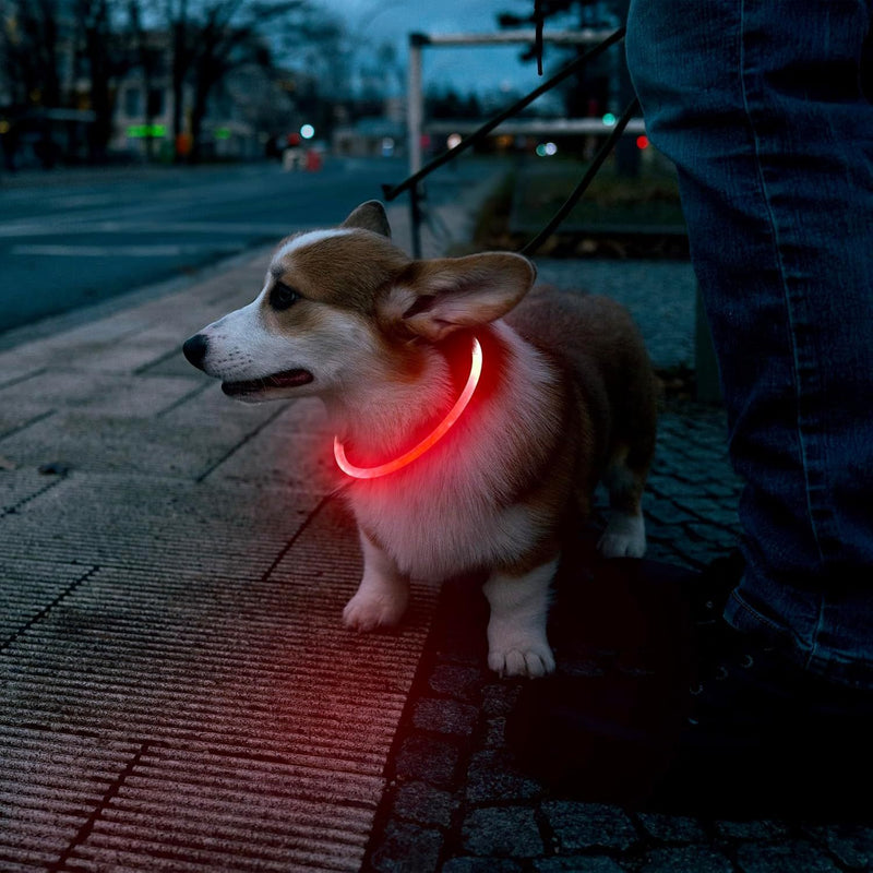 LED USB Rechargeable Dog Collar