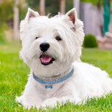 Bling Rhinestone Crystal Dog Collar