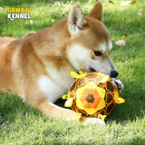 Interactive Ball Chew Toy