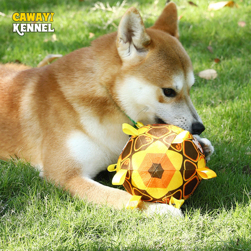 Interactive Ball Chew Toy