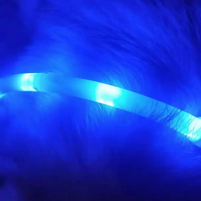 Collar luminoso antipérdida para mascotas