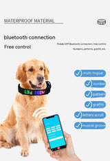 Harnais de suivi LED intelligent pour chien