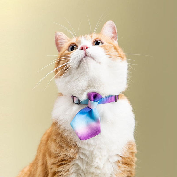Adjustable Gentleman Dog Collar Accessories