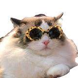 Gafas de sol multicolores para mascotas