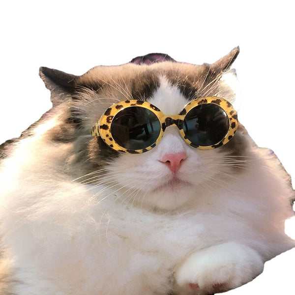 Multi-color Cool Pet Sunglasses