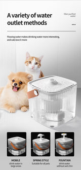 Electric Thermostatic Pet Dispenser