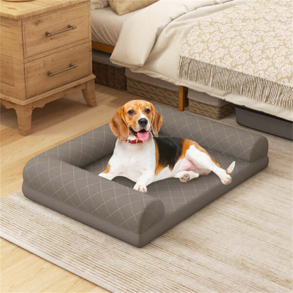 Cheap Pet Accessories 