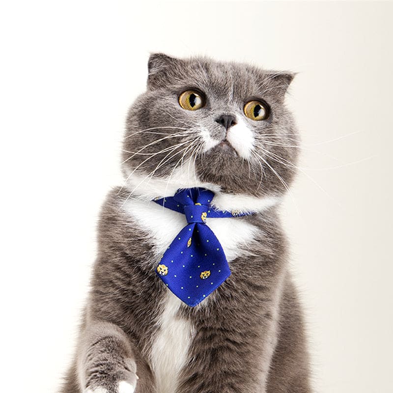 Accessoires pour collier de chien réglable Gentleman