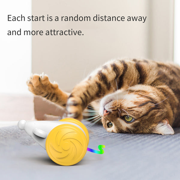 Interactive Luminous Mouse Toy