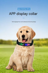 Harnais de suivi LED intelligent pour chien