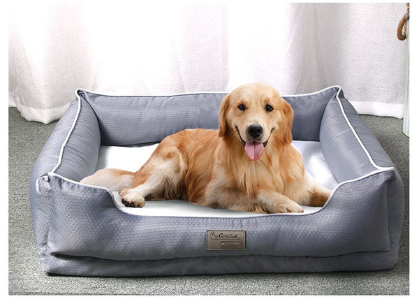 Removable Dog Bed – Pet Supplies