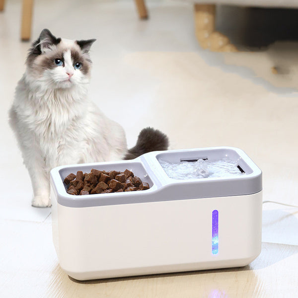 Pet Water Dispenser