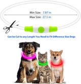 LED USB Rechargeable Dog Collar