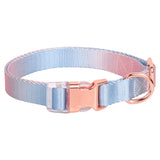 Adjustable Nylon Gradient Pet Collar