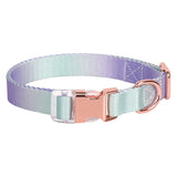 Adjustable Nylon Gradient Pet Collar