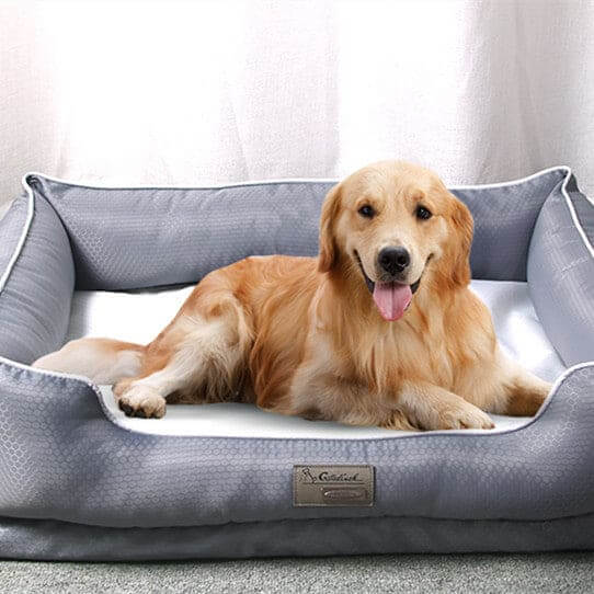Removable Dog Bed – Pet Supplies