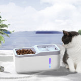 Automatic Cat Water Dispenser