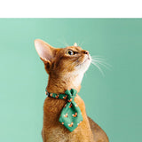 Accessoires pour collier de chien réglable Gentleman