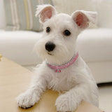 Bling Rhinestone Crystal Dog Collar
